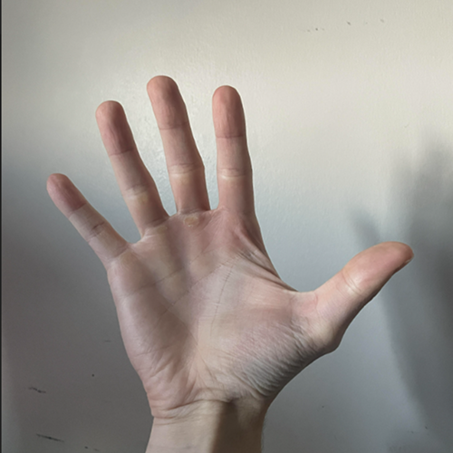 put a description here or you will lose grades