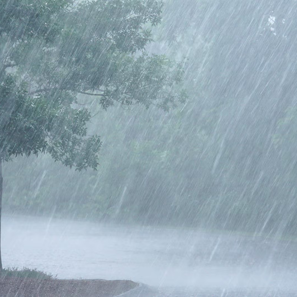 description<br><audio controls src='/audio/rain.mp3'></audio>