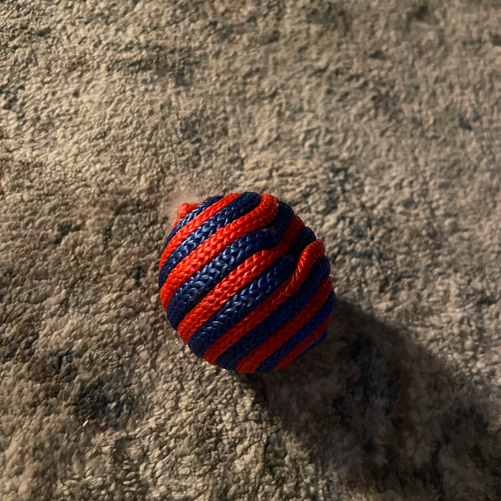 description<br><audio controls src='/audio/cattoy.mp3'></audio>