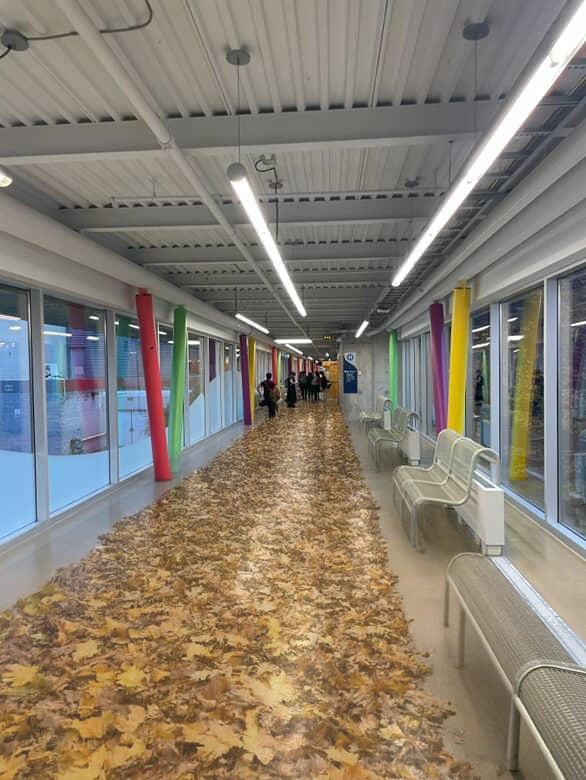 Concept 3: Projector display various interactive displays (In this intsance, leaves) where a person would step and the laeves would move around